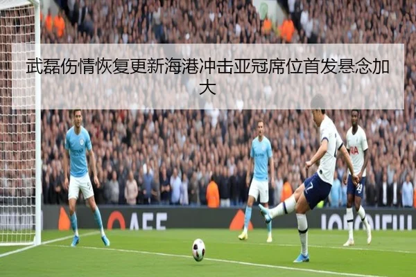 武磊伤情恢复更新海港冲击亚冠席位首发悬念加大（ACMilan）